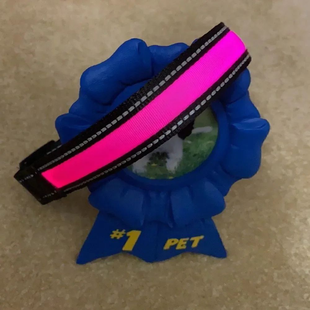 Dog Collar Solar & USB Powered Light Up - L